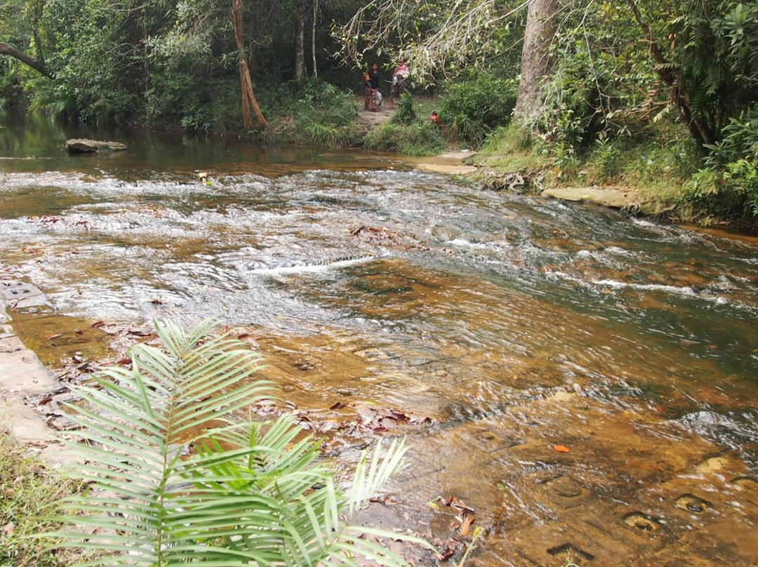 Kulen Prumep Wildlife Sanctuary景点图片
