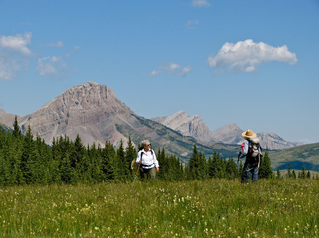 Choteau旅游攻略图片