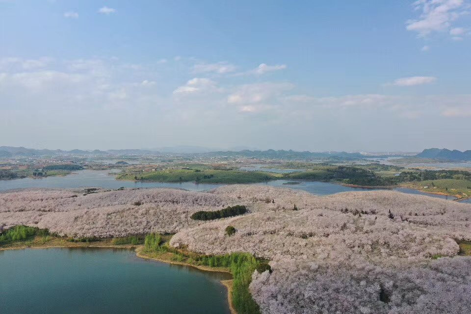 平坝农场景点图片