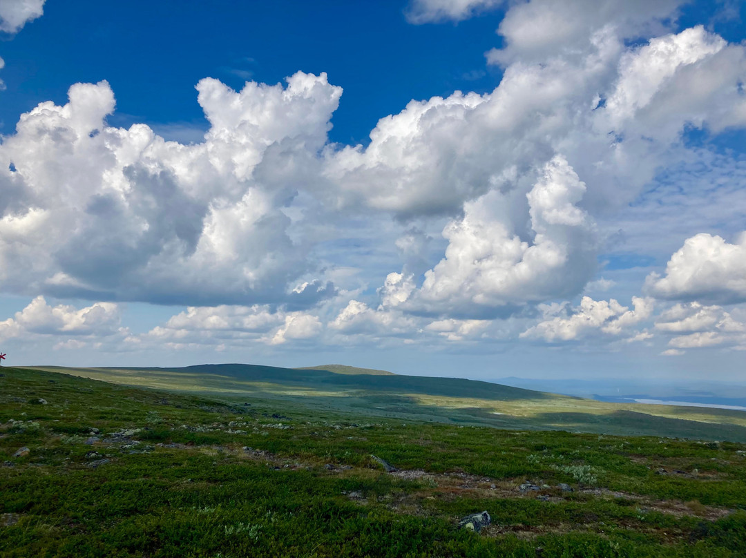 Dundret Naturreservat