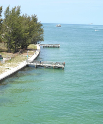 Sand Key Park景点门票图片