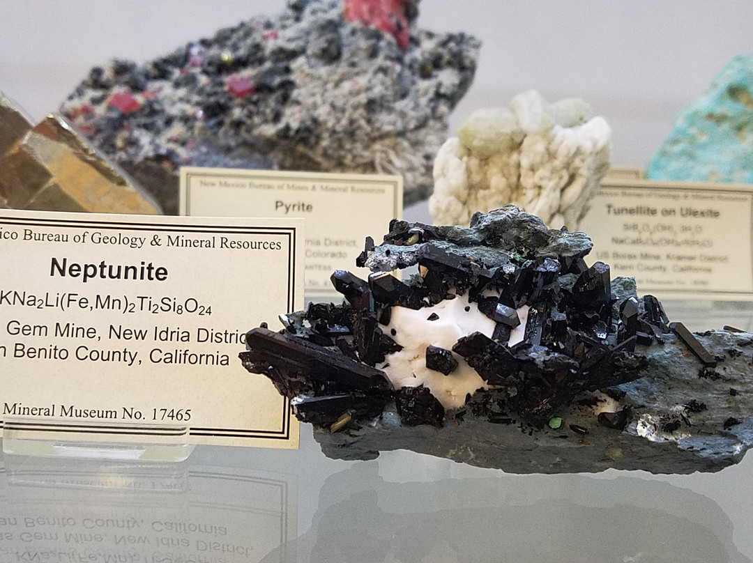 Mineralogical Museum景点图片