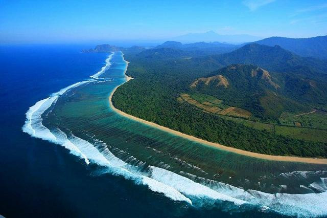 Nemo's Surf School景点图片