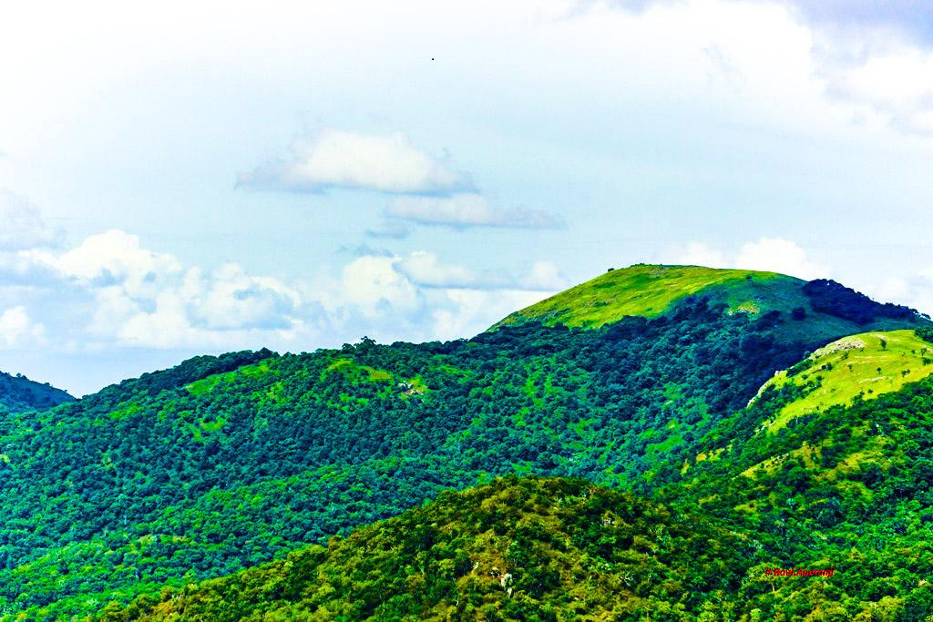 Br Hills Wildlife Sanctuary-Kemmannagundi必去景点