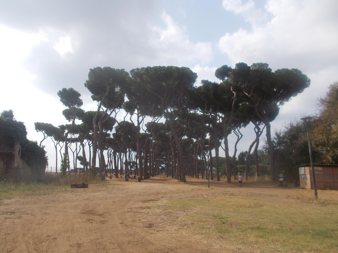 Parco Regionale Urbano Pineto-罗马必去景点