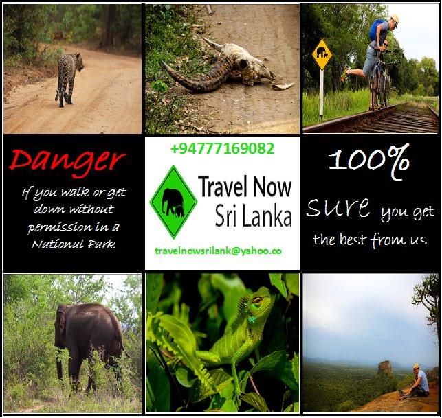 Travel Now Sri Lanka景点图片