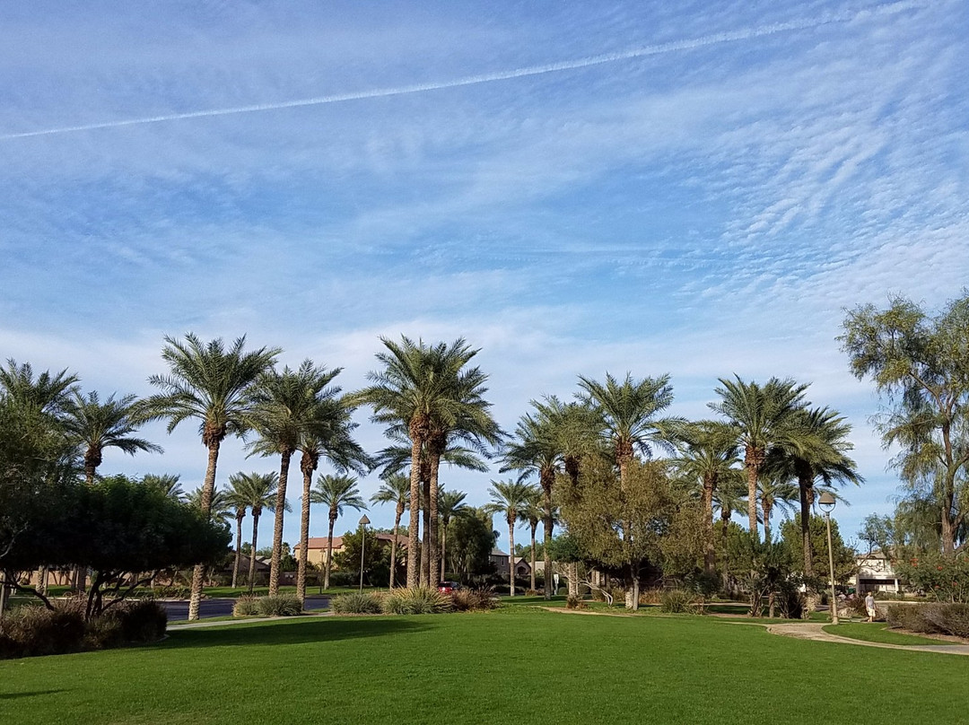 Jane Askew Memorial Park景点图片