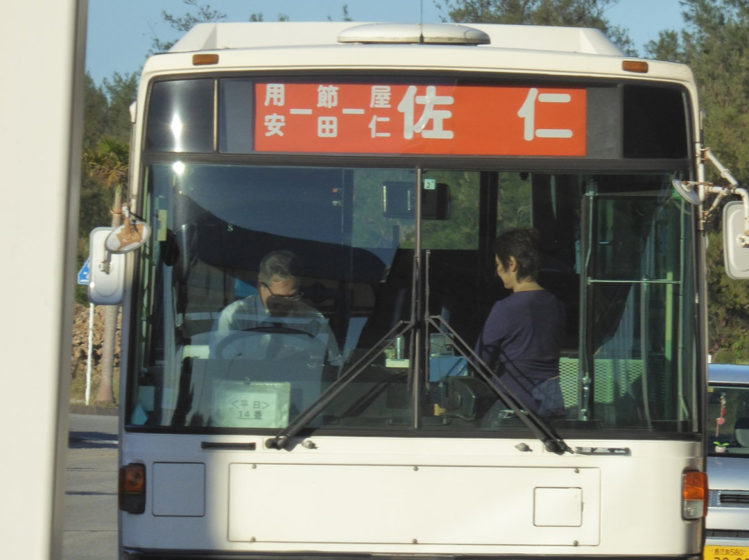 Shima Bus景点图片