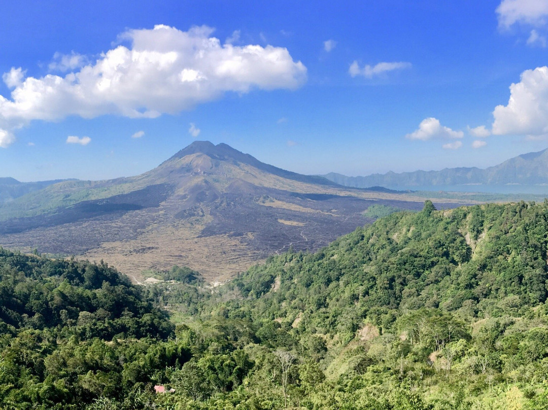Bali Trip Host