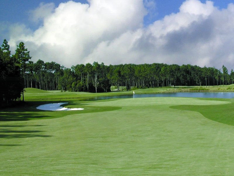 Soldiers Creek Golf Club景点图片