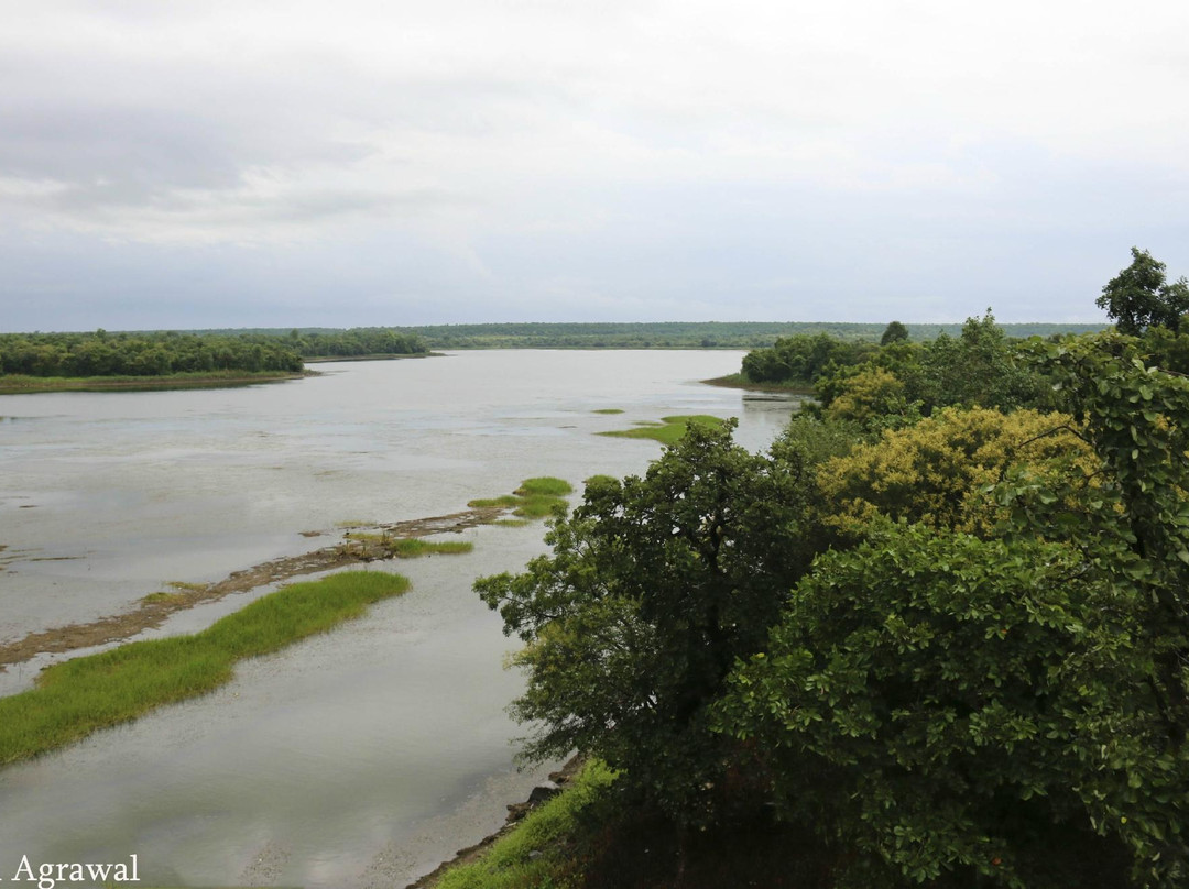 Gorewada Lake景点图片