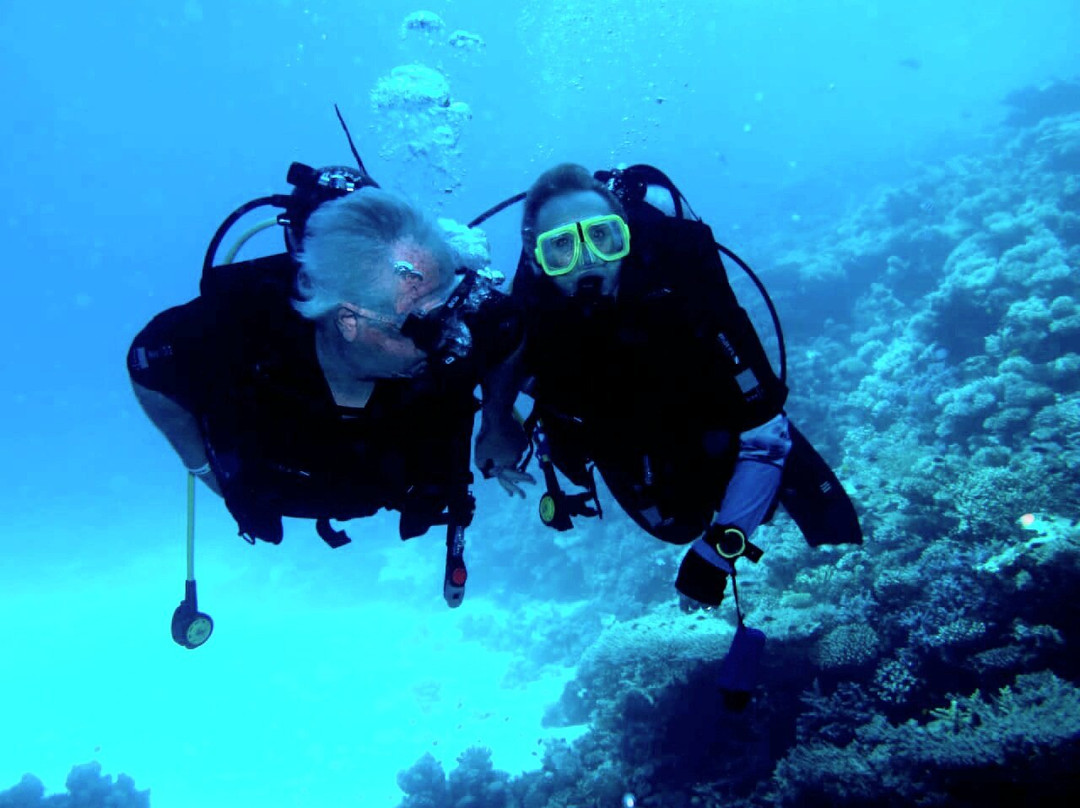 Divers Hurghada - Diving Course PADI - CMAS - SSI.-赫尔格达必去景点