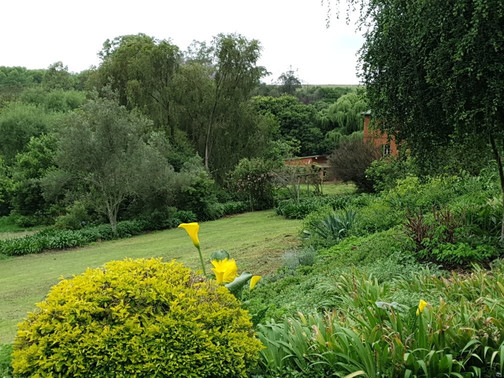 Kings Grant Country Retreat主图