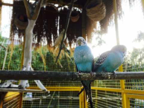 上海夏阳湖皇冠假日酒店主图