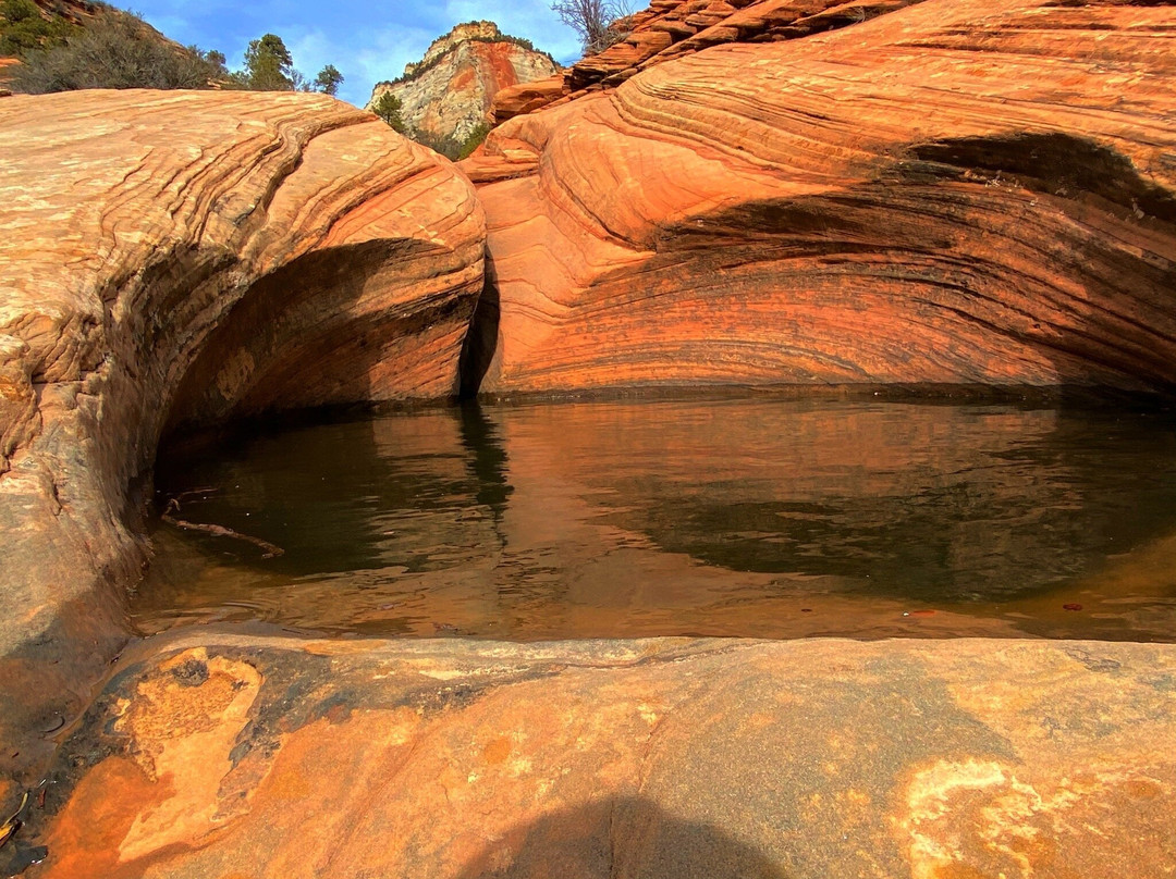 Many Pools Trail-锡安国家公园必去景点