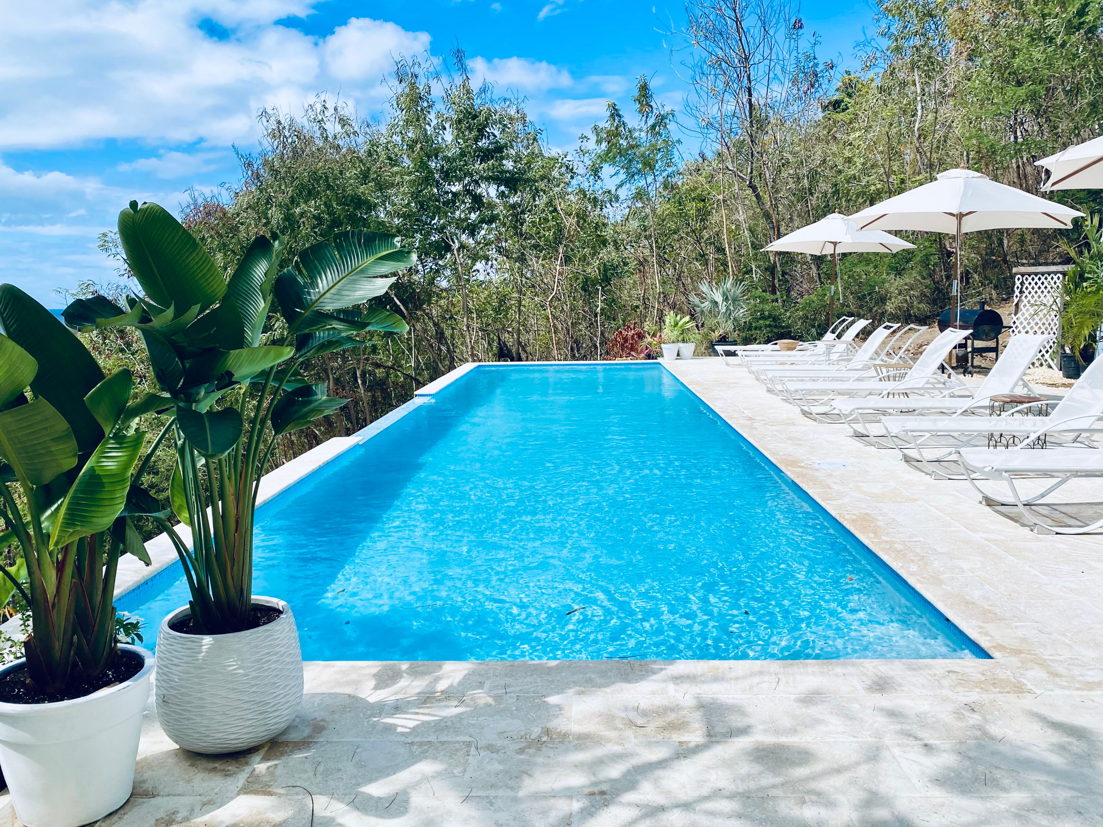 The English Rose Guest House-官方