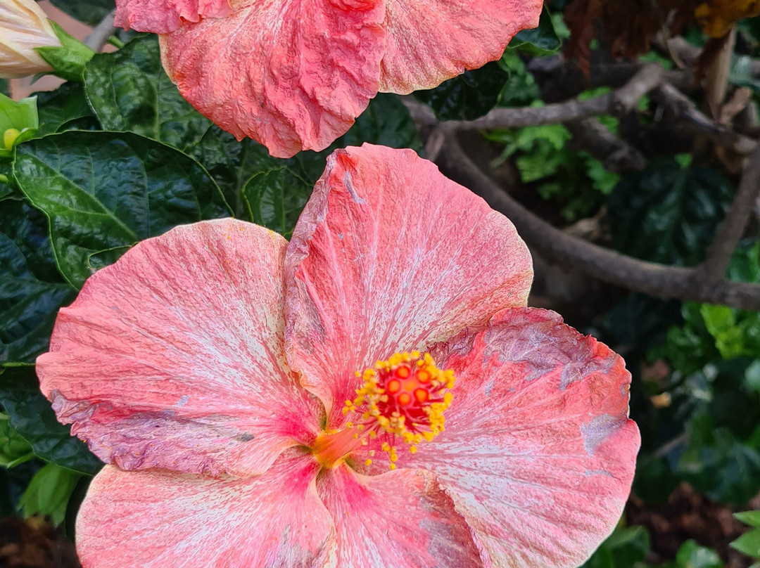 最佳西方海泉汽车旅馆主图