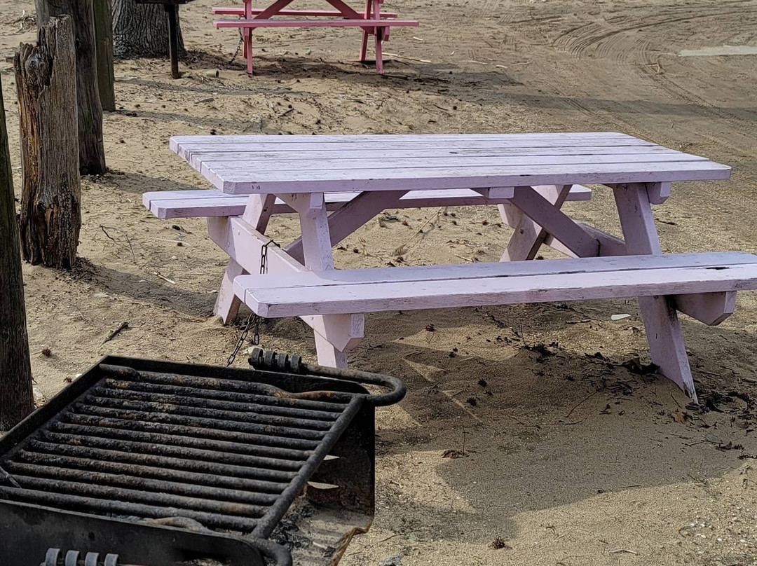 Crystal Beach-Earleville必去景点