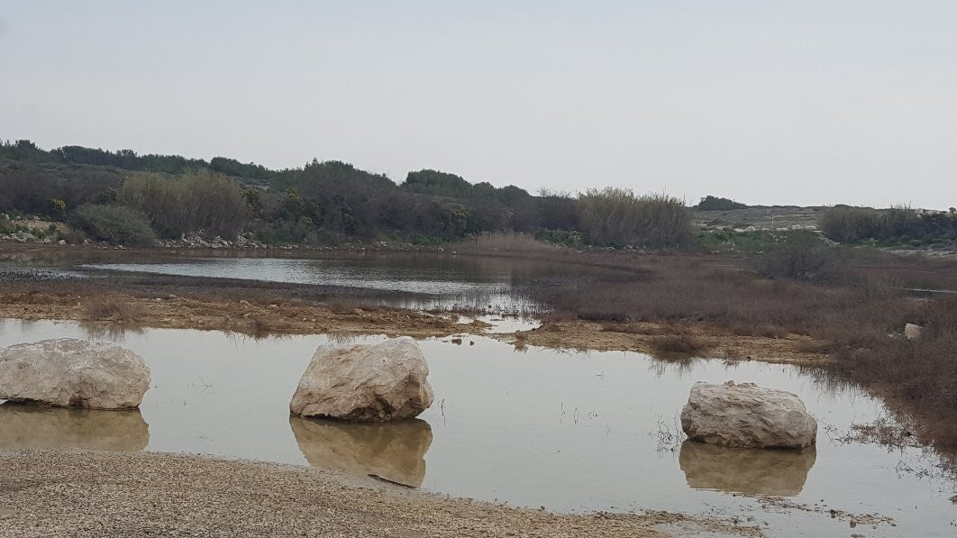 Plage des Laurons景点图片