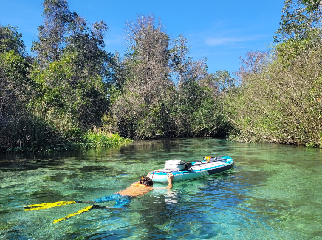 SUP Weeki (Stand Up Paddleboard)-Weeki Wachee必去景点
