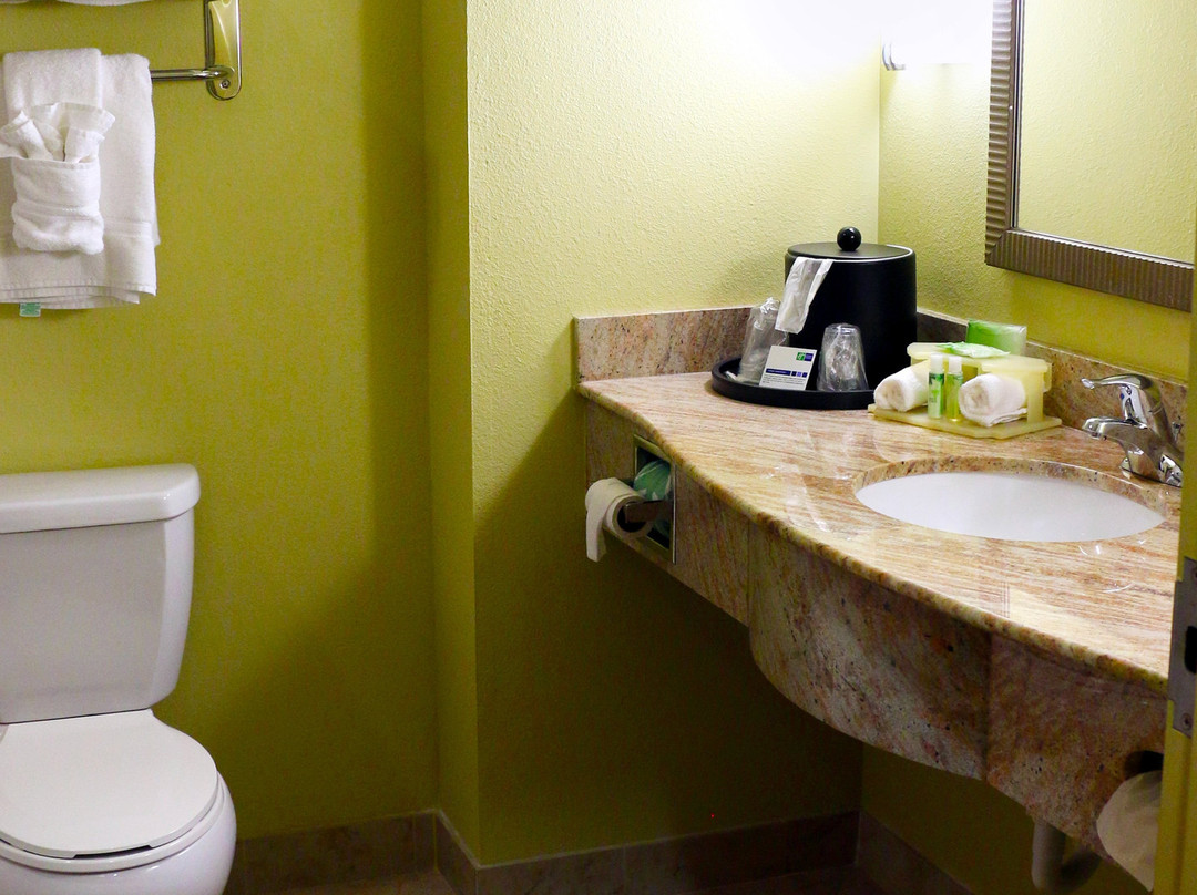 佩利快捷假日&套房酒店主图