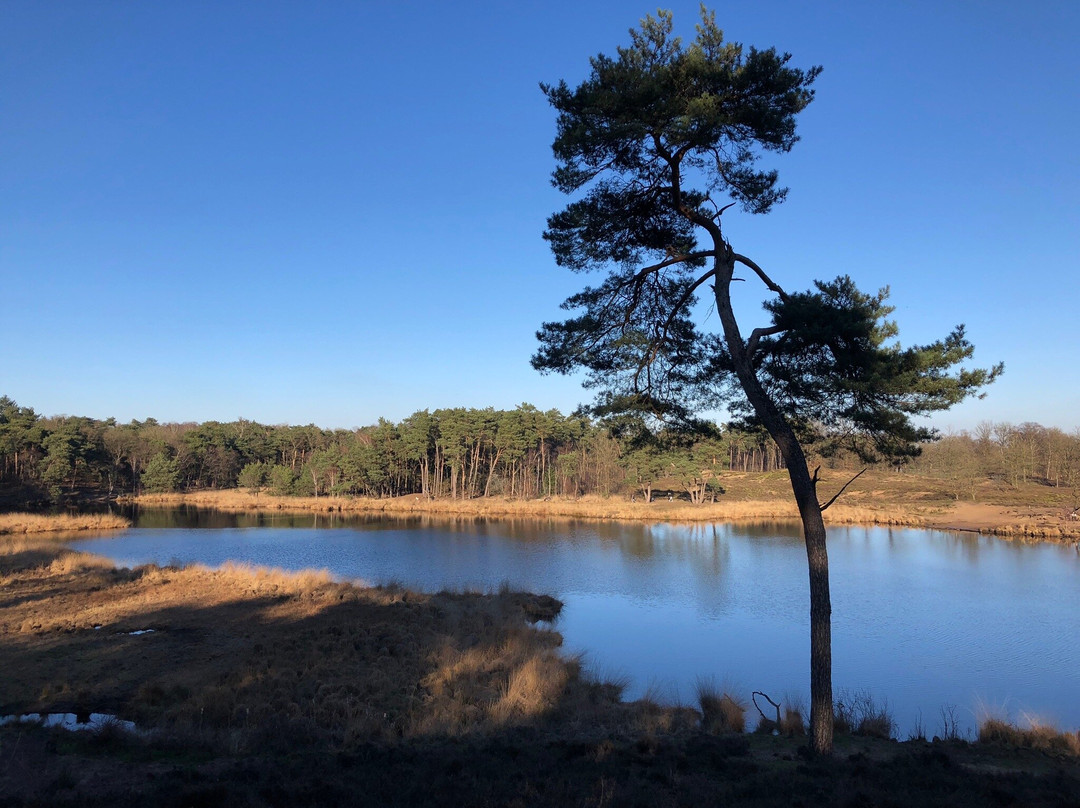 Hatertse En Overasseltse Vennen-Overasselt必去景点