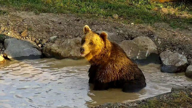 Observator De Ursi-Borzont必去景点
