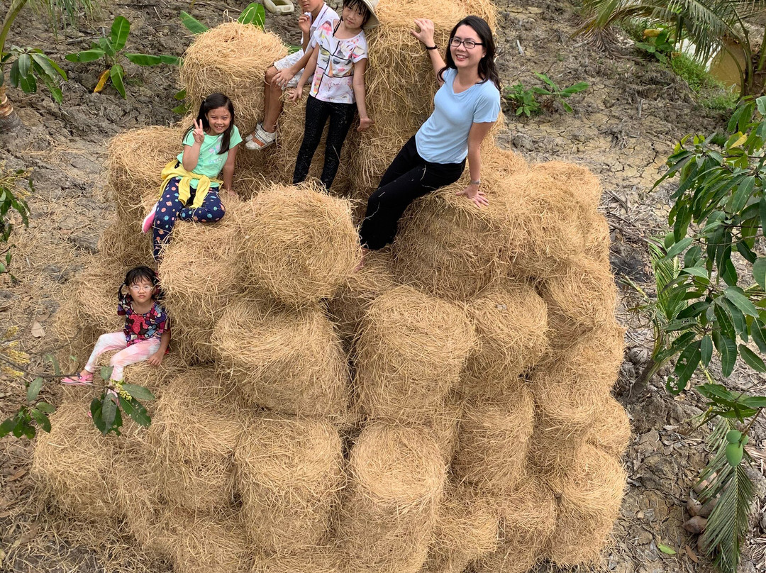 Mekong Delta Tour-Ben Luc必去景点