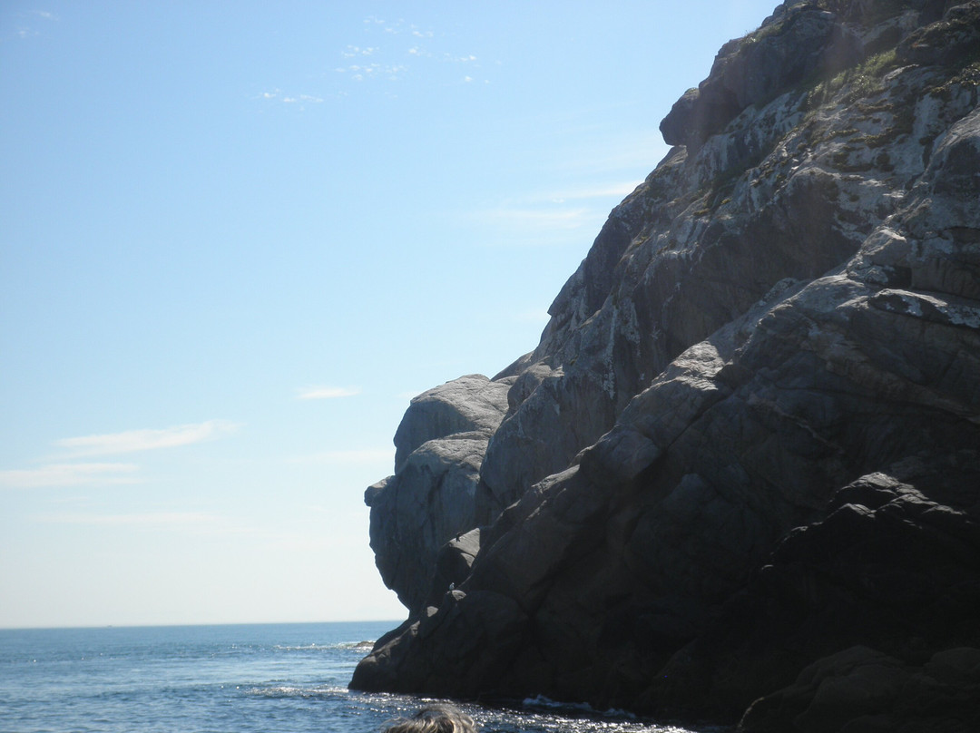 Pedra Perfil do Gorila-阿拉伊阿尔港必去景点