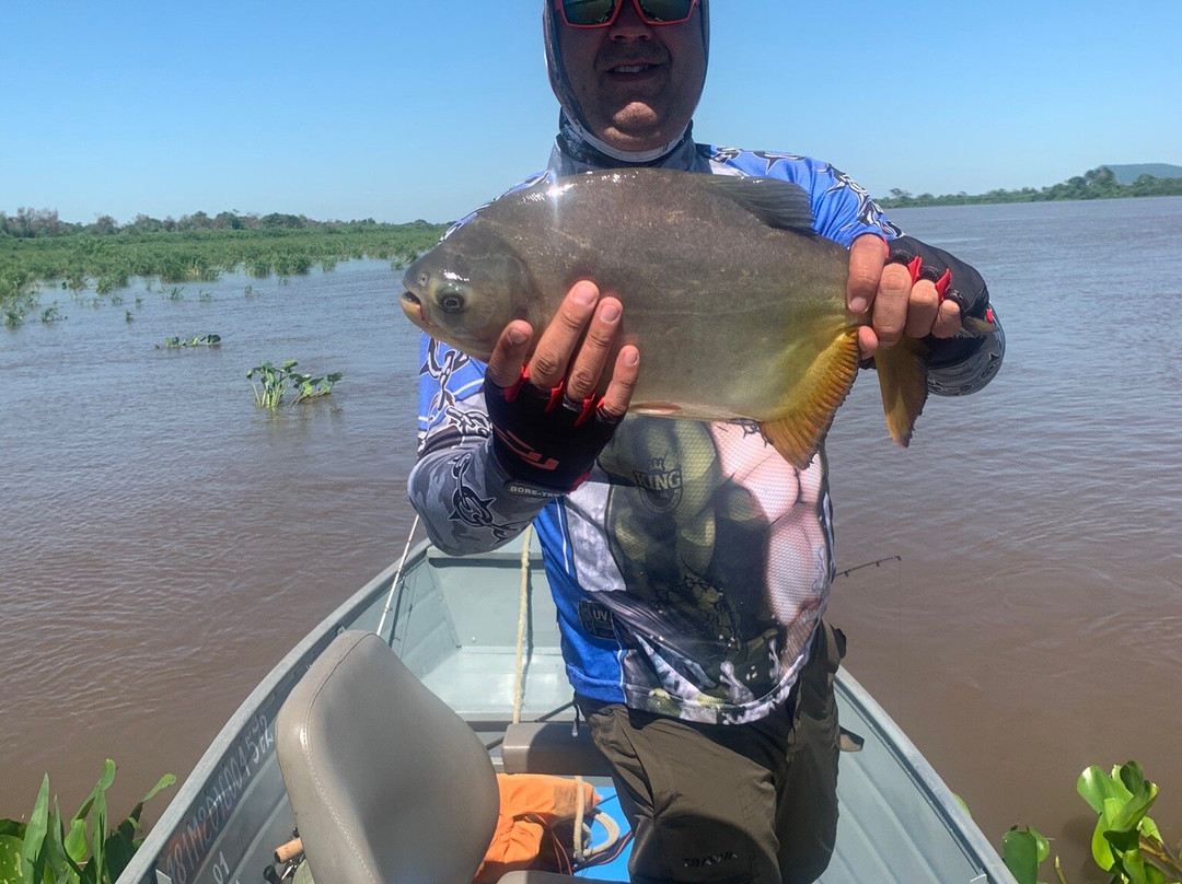 Paraiso Da Pesca主图