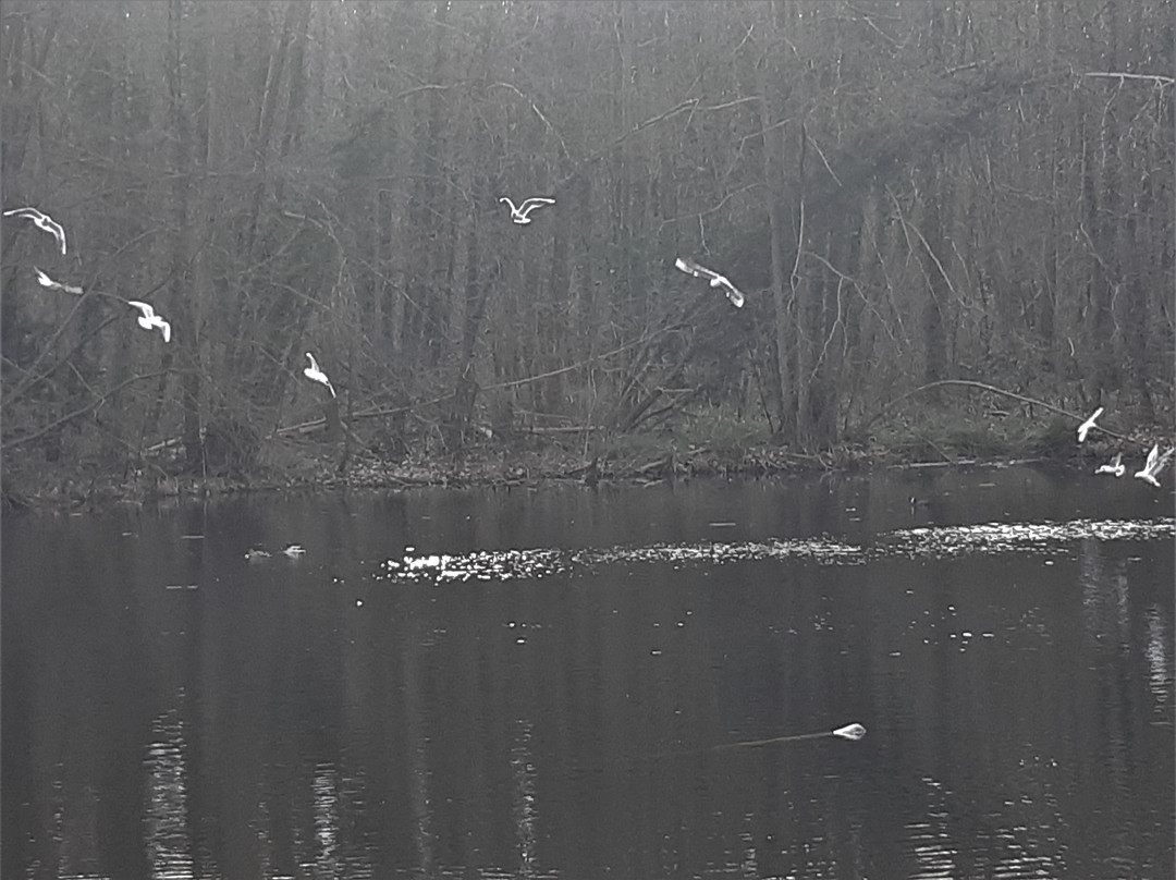 Forêt De Bondy-Clichy-Sous-Bois必去景点
