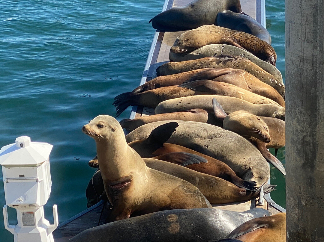 Burton W. Chace Park-玛丽安德尔湾必去景点
