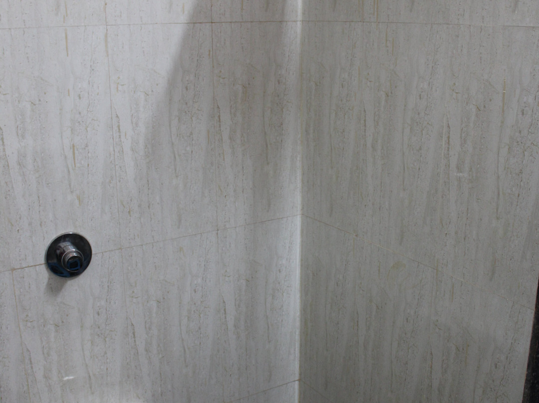 Hotel Abhishek主图