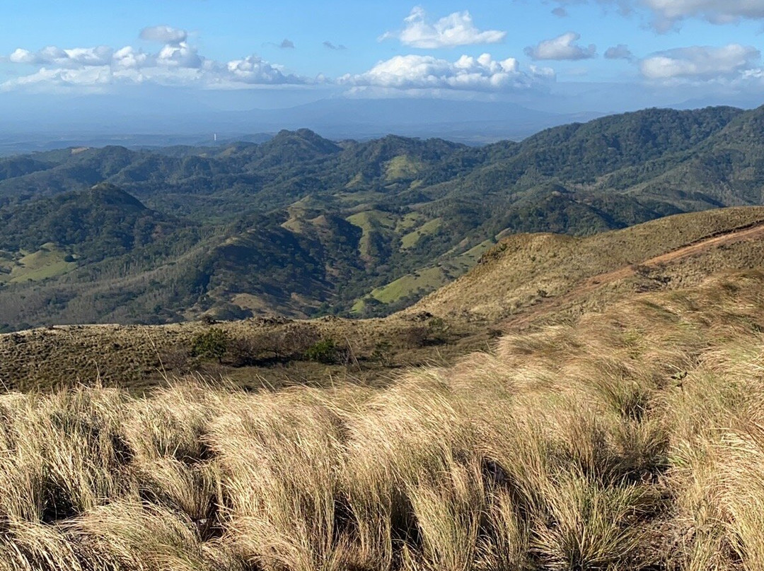 Cerro Pelado景点图片