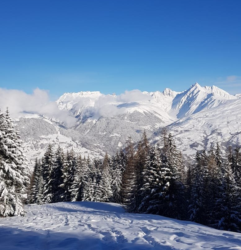 Reflex Ski School景点图片