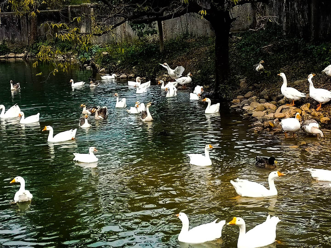 Manda Zoo Park景点图片