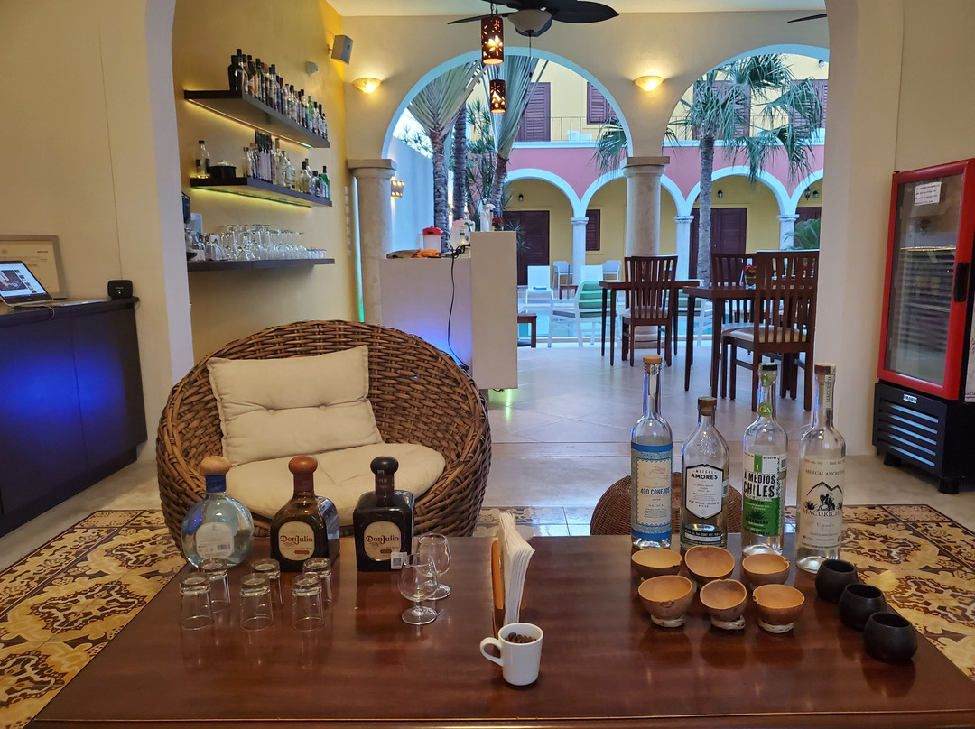 Mexican Flavors Tequila and Mezcal Tasting-梅里达必去景点