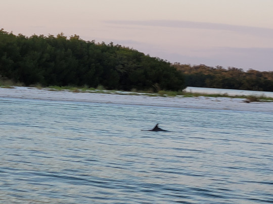 Friendly Waves Charters-迈尔斯堡海滩必去景点