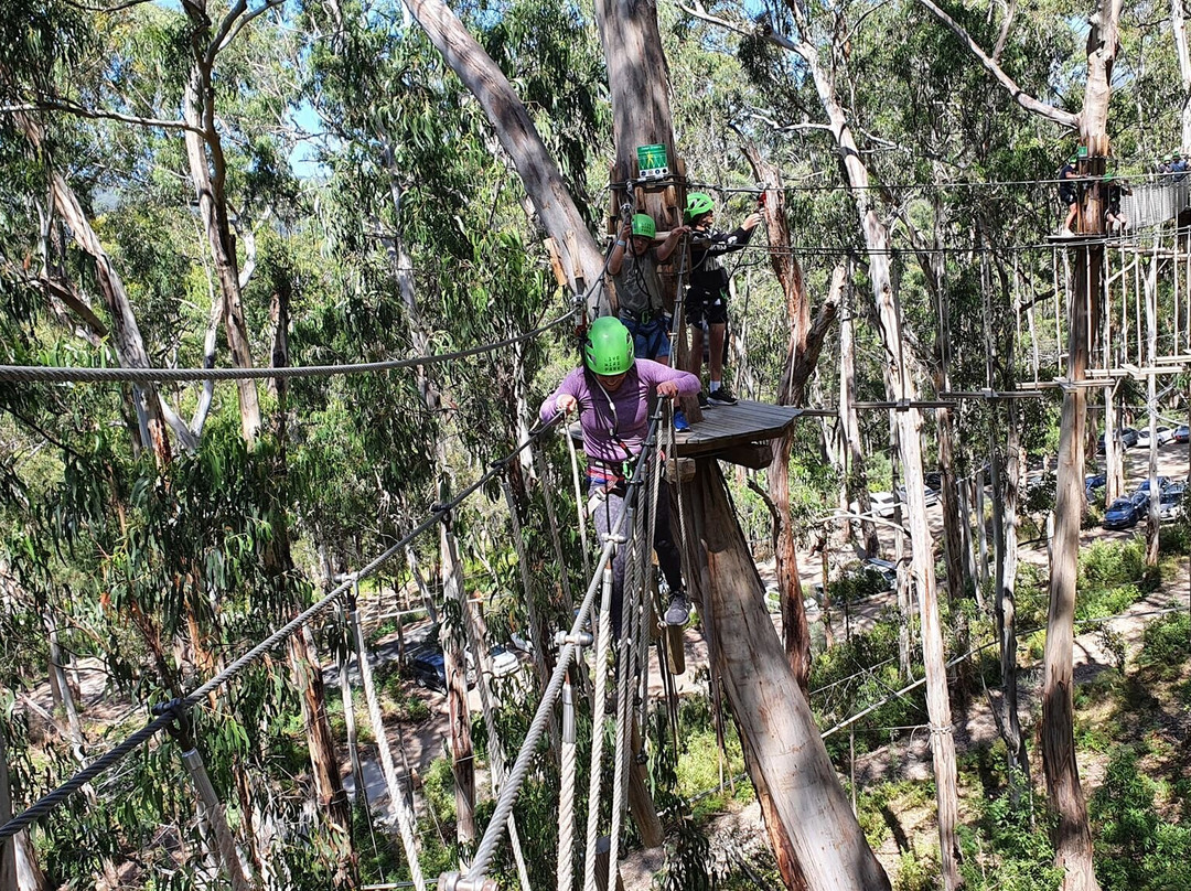 Live Wire Park-洛恩必去景点