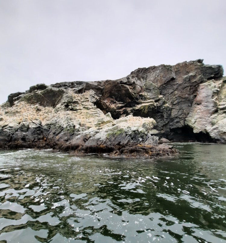 Reserva Nacional Pinguino de Humboldt景点图片