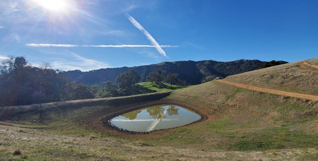 Pleasanton Ridge Regional Park-Sunol必去景点