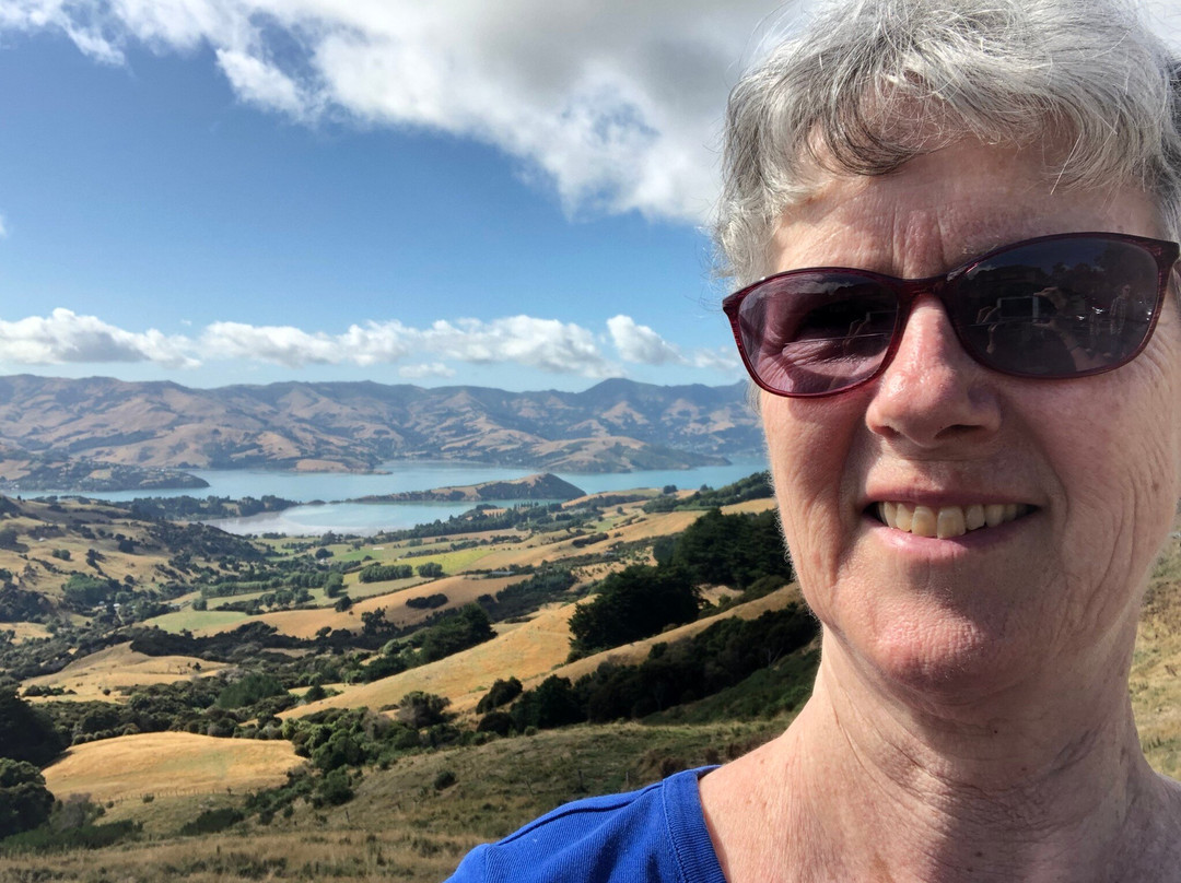 Leisure Tours-基督城必去景点