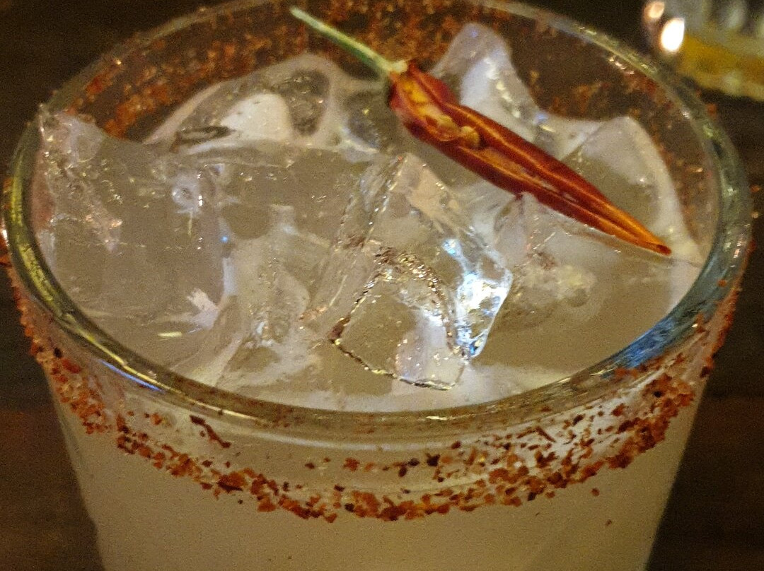 Suga-黄金海岸必去景点