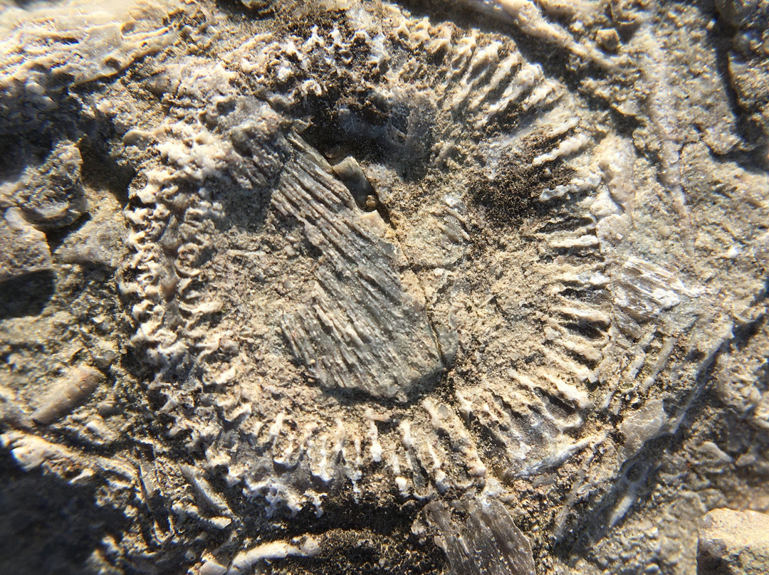 Wainfleet Wetlands Conservation Area-Wainfleet必去景点