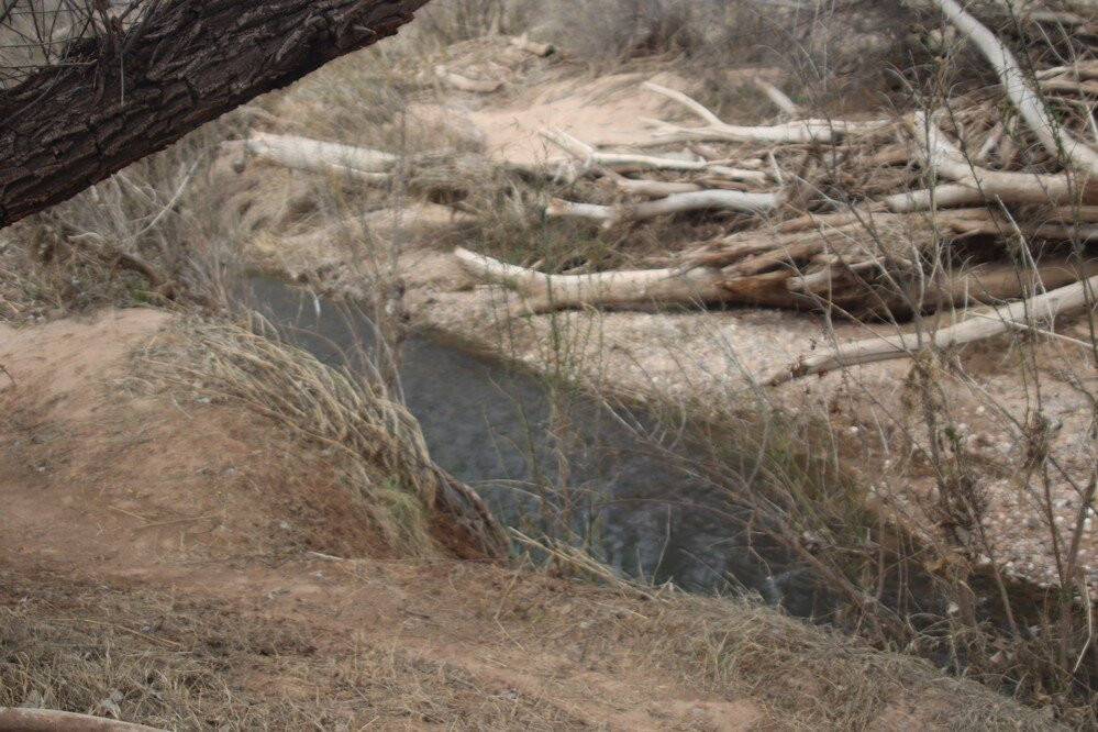 San Pedro Riparian National Conservation Area景点图片