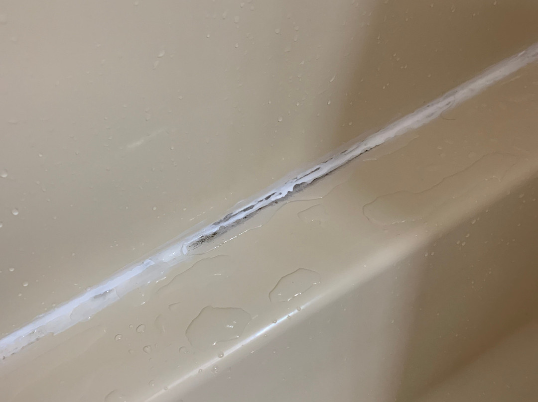 The Rose of the Lake主图