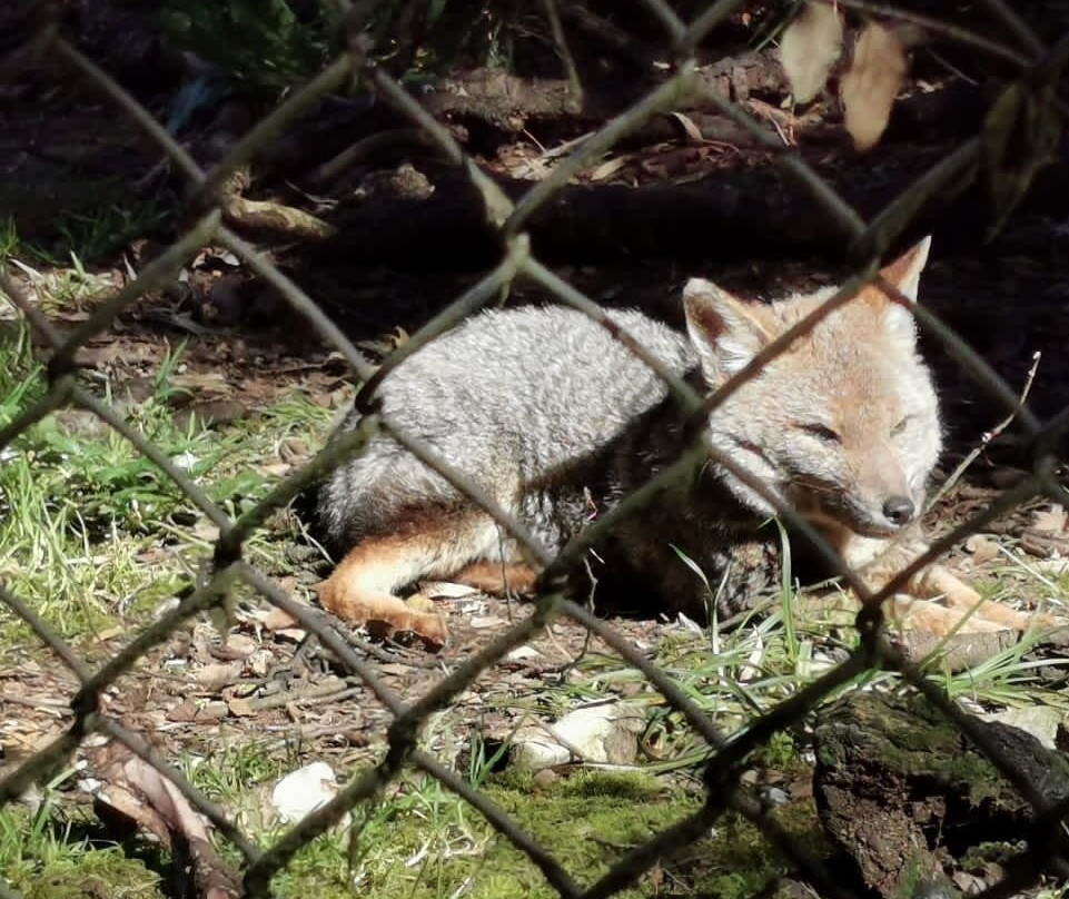 Romahue-巴拉斯港必去景点