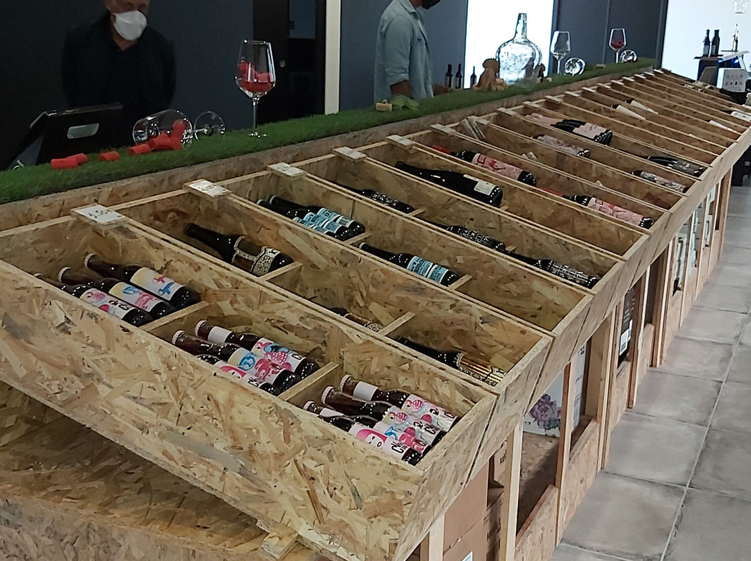 Bodegas Arraez-La Font de la Figuera必去景点