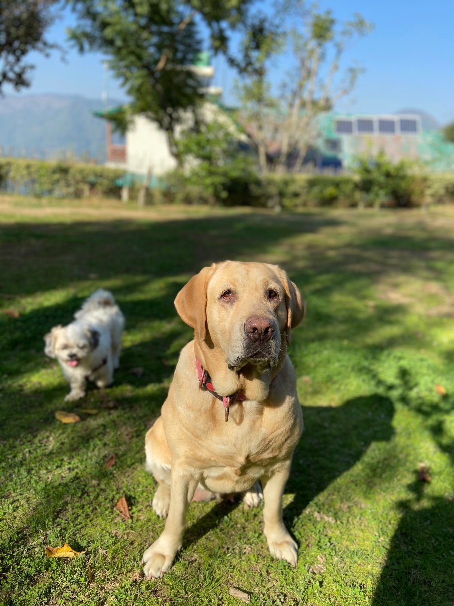 翡翠径酒店-家庭/游戏区