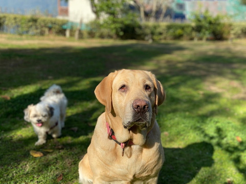 翡翠径酒店主图